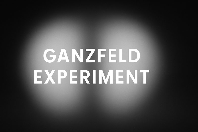 Ganzfeld Experiment